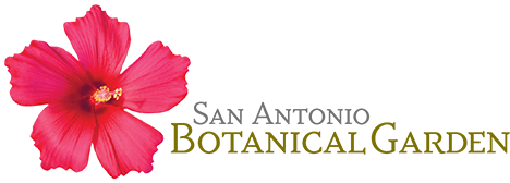 San Antonio Botanical Garden Private Event Rentals Classes