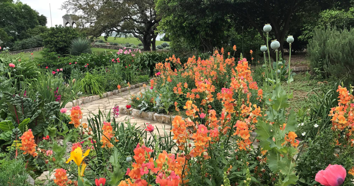 San Antonio Botanical Garden | Private Events & Rentals | Classes & Camps