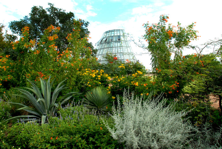 WaterSaver Garden |