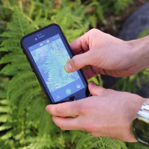 iNaturalist |