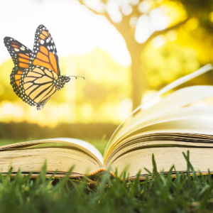 webimage_storybook |