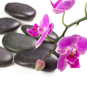 zen stone and orchid. spa concept |
