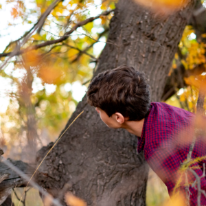 webimage_kidtree |