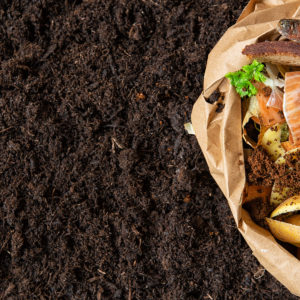 webimage_composting |