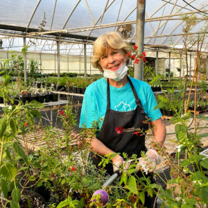 webimage_plantsalegreenhouse |