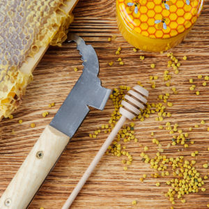 webimage_beetools |