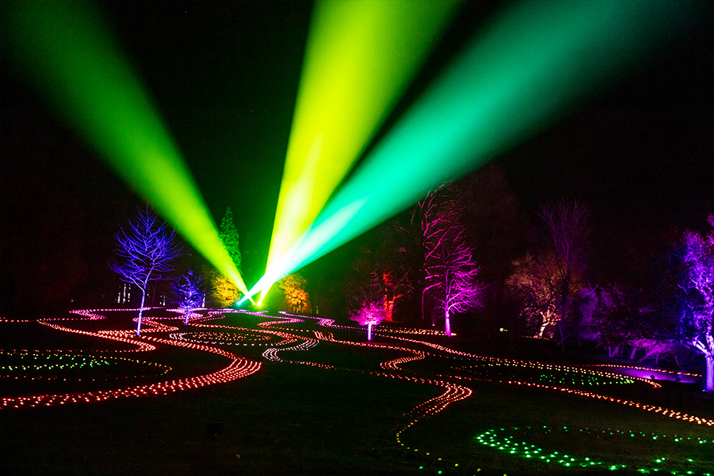 Field of Light