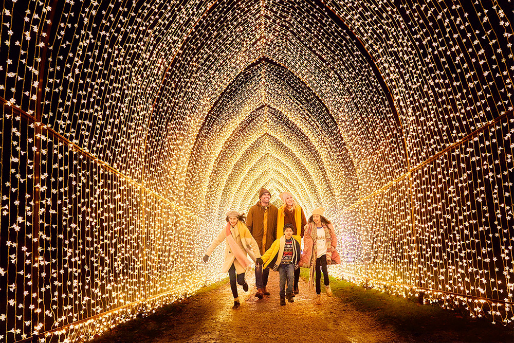 Cathedral of Light