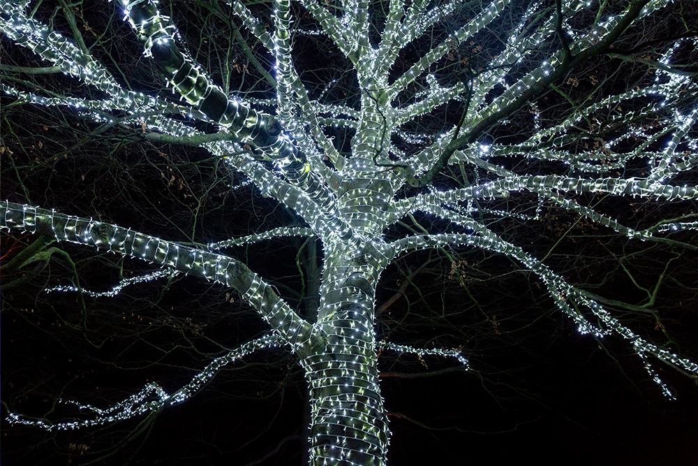 Pealight Tree