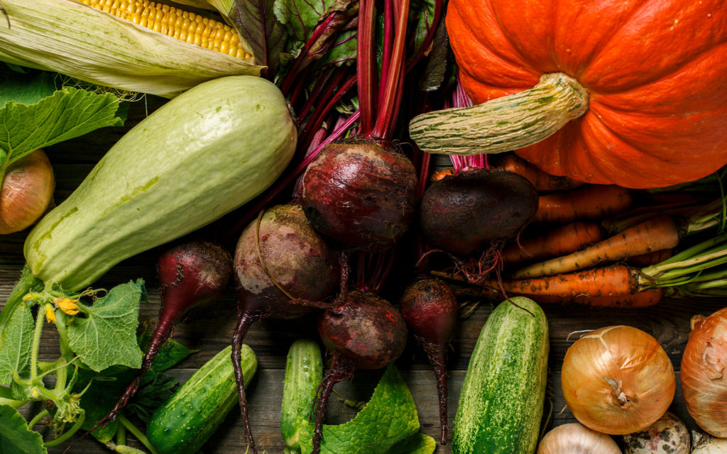 webimage_thanksharvest |