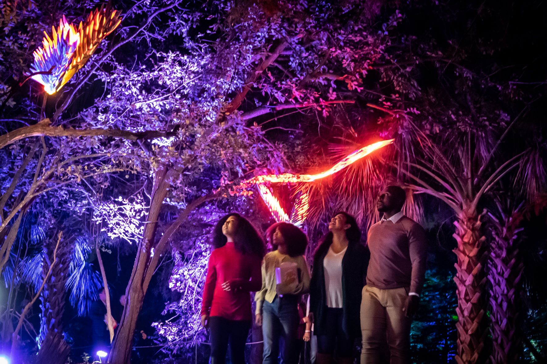 Lightscape San Antonio Botanical Garden Botanical Garden