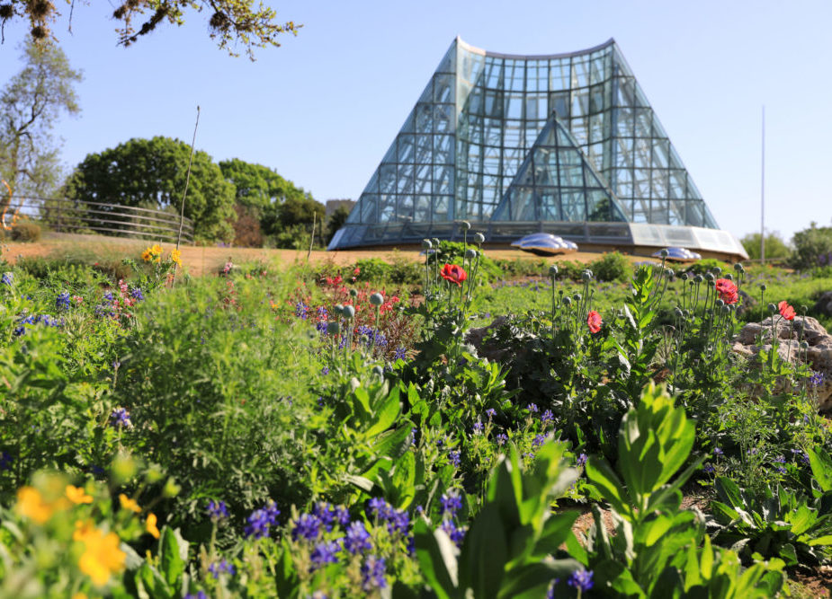 San Antonio Botanic Garden greenhouse