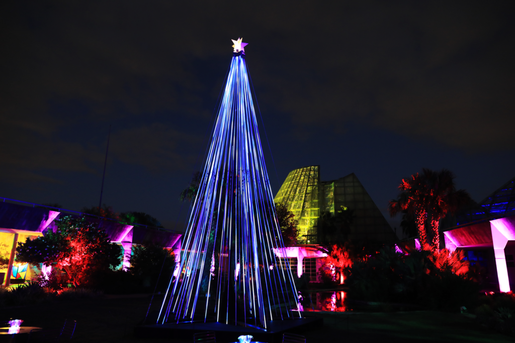 Winter-Wonder-Tree