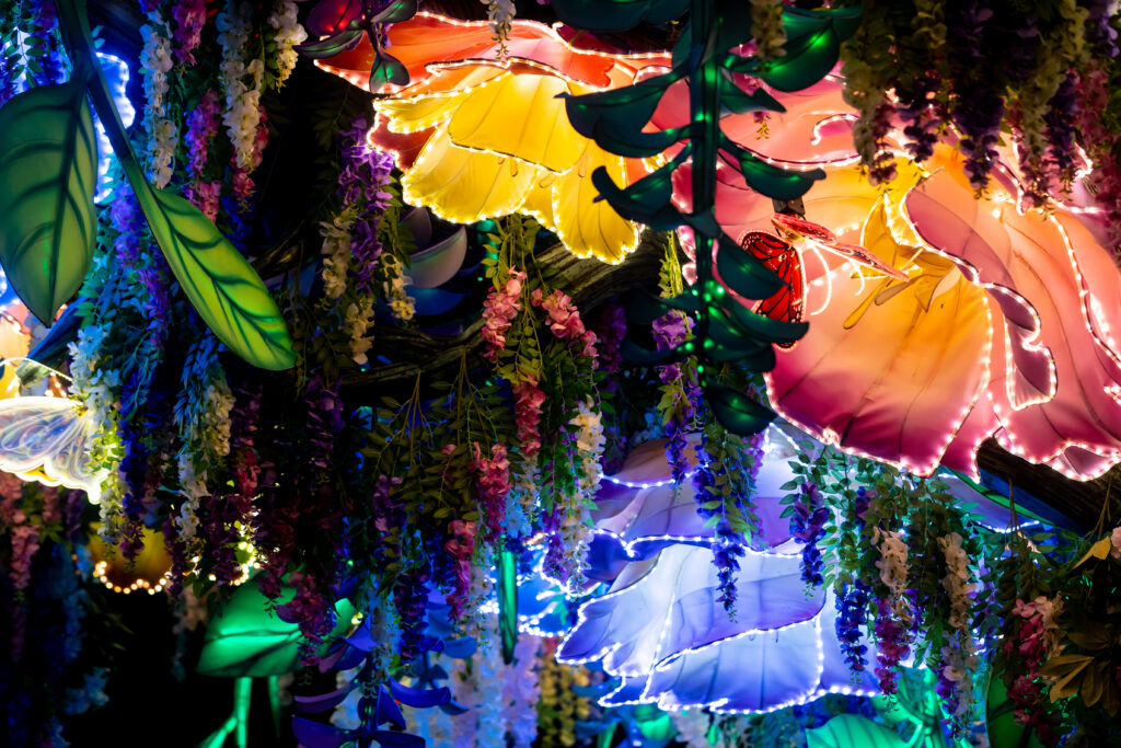 397_ClevelandLanterns_24 |