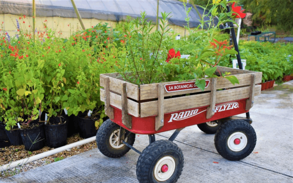 Plant Sale |
