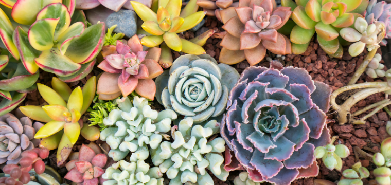 Propagating |