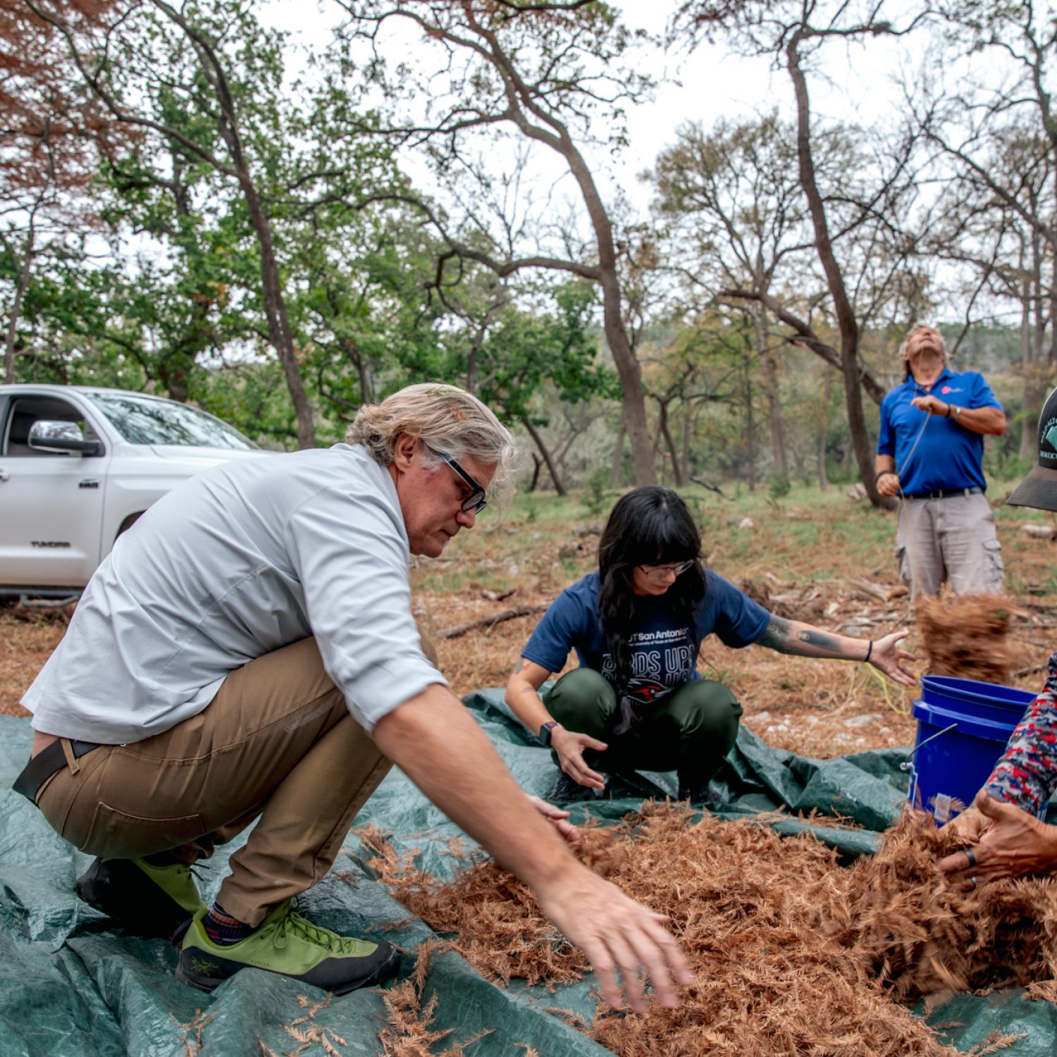 017-TREES-Seed-Collecting-November-2025