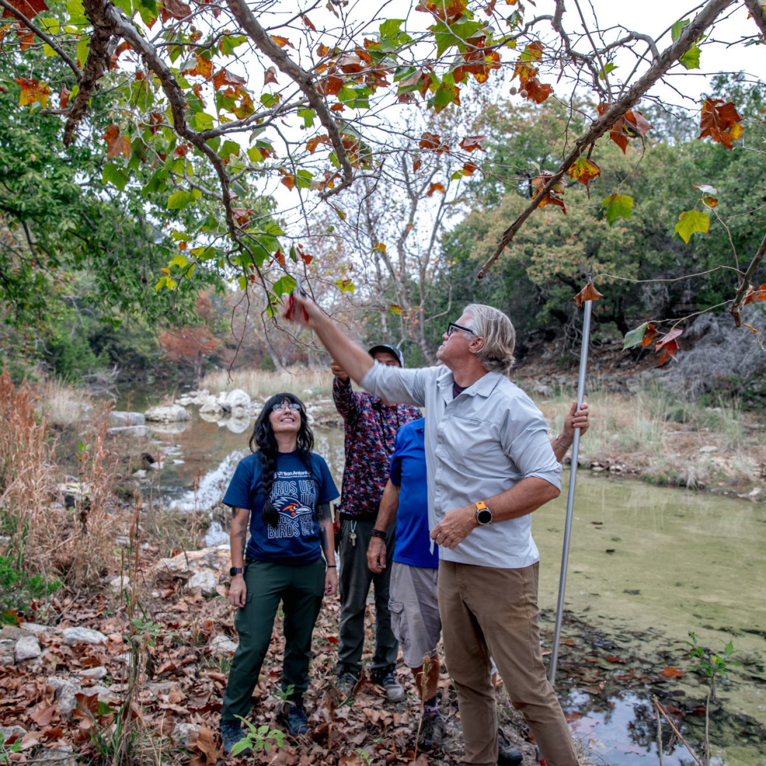 133-TREES-Seed-Collecting-November-2025