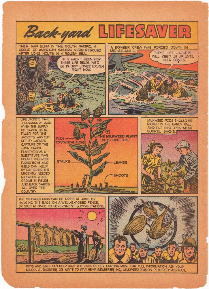 Back-Yard Lifesaver - True Comics (1941)