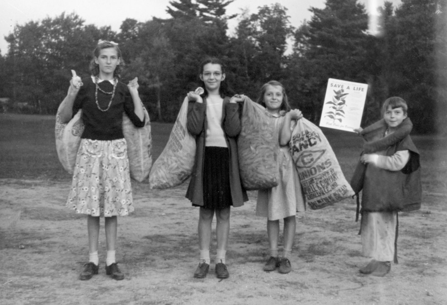 These village school children from Gilford, NH harvested 140 bags of pods
Milkweed Pod Collection Program Scrapbook, 1944 UA 10/7/9
Milne Special Collections and Archives
University of New Hampshire Library, Durham, NH, USA.