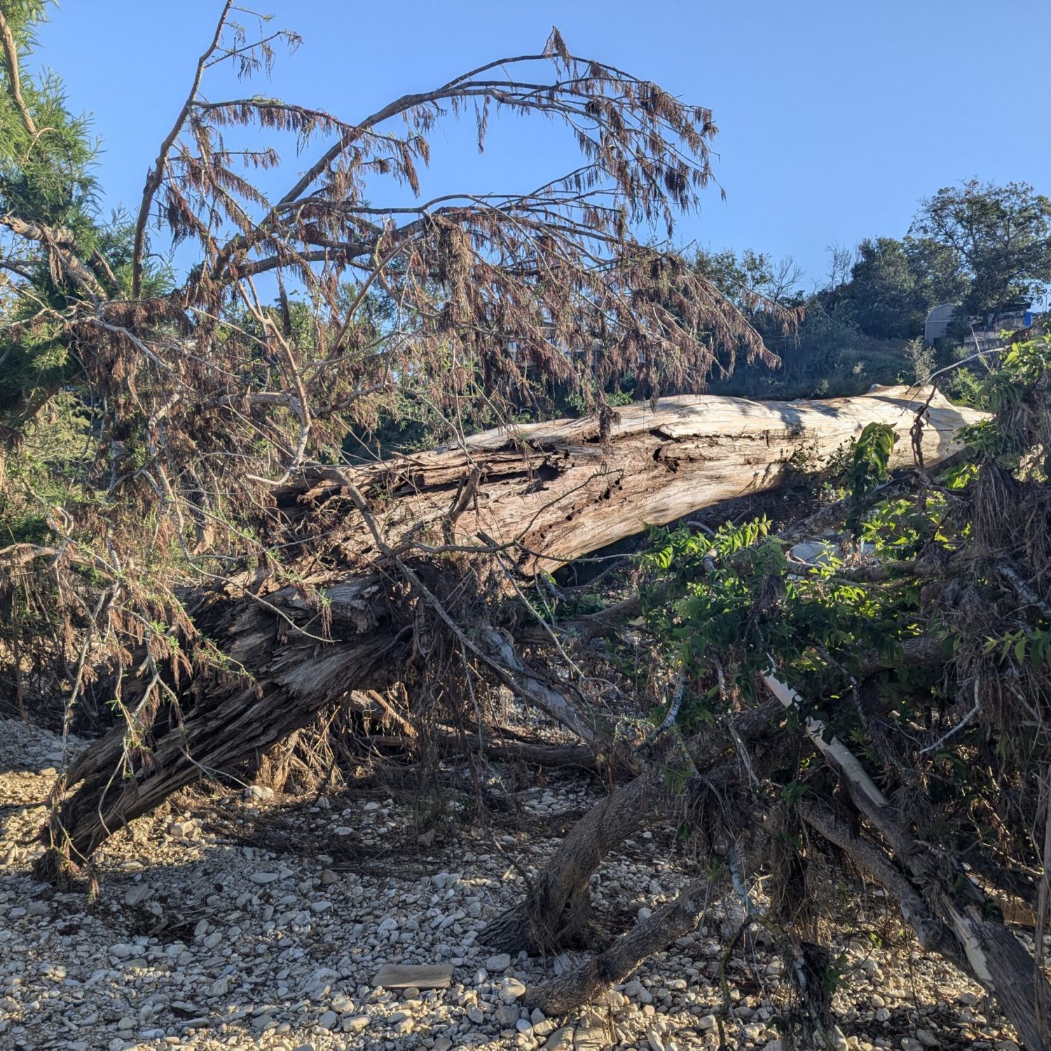 PXL_20250902_135050973RAW-01COVER