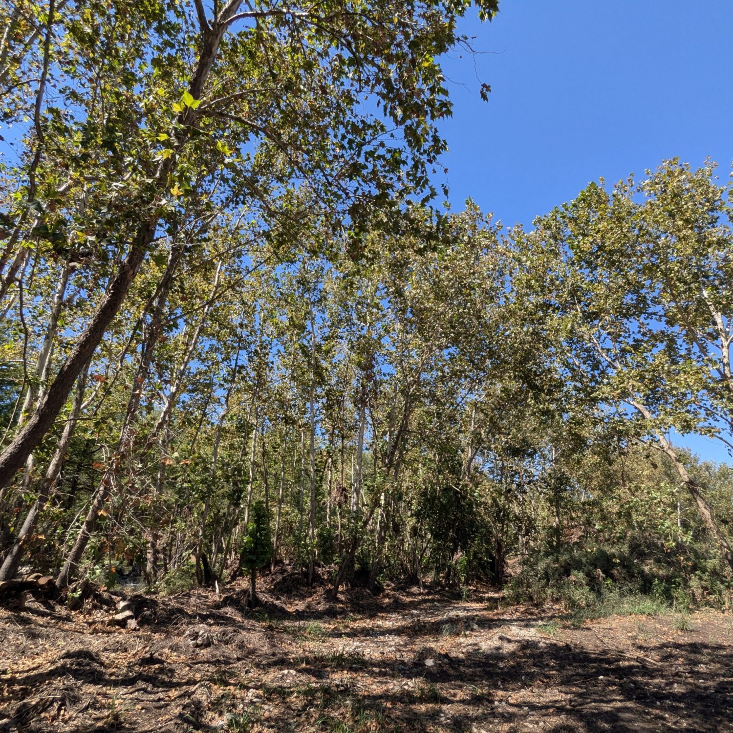 PXL_20250902_165628102RAW-01COVER