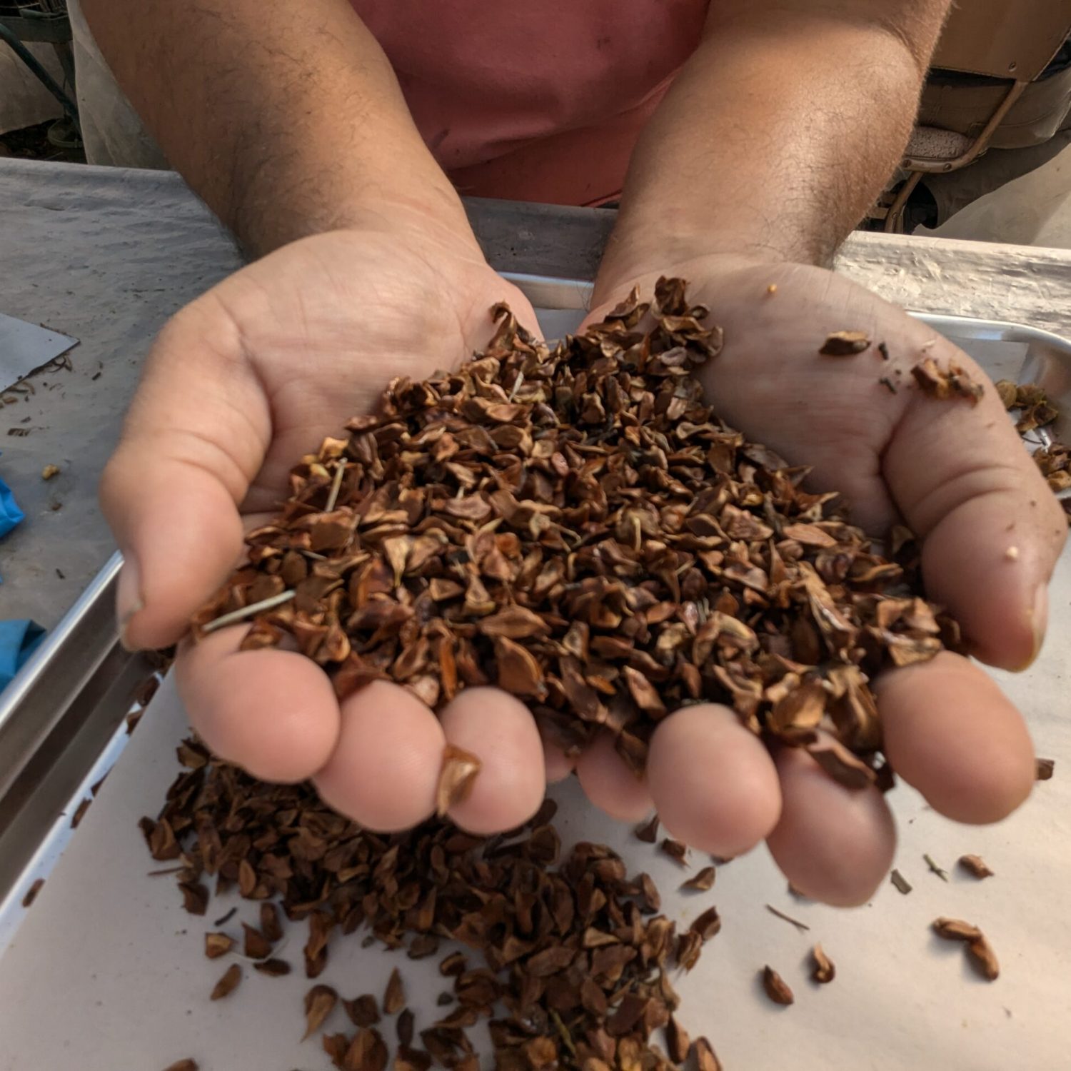 PXL_20251028_155740127RAW-01COVER