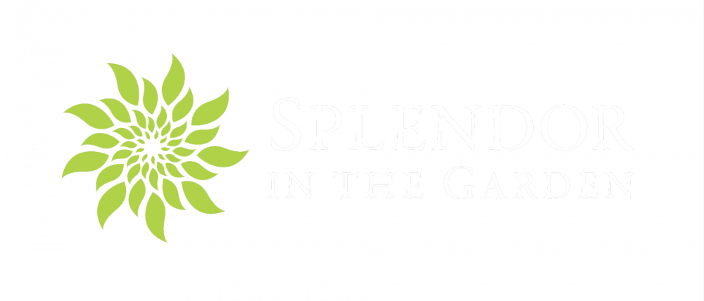 Splendor Logo Secondary Inverse-transparent