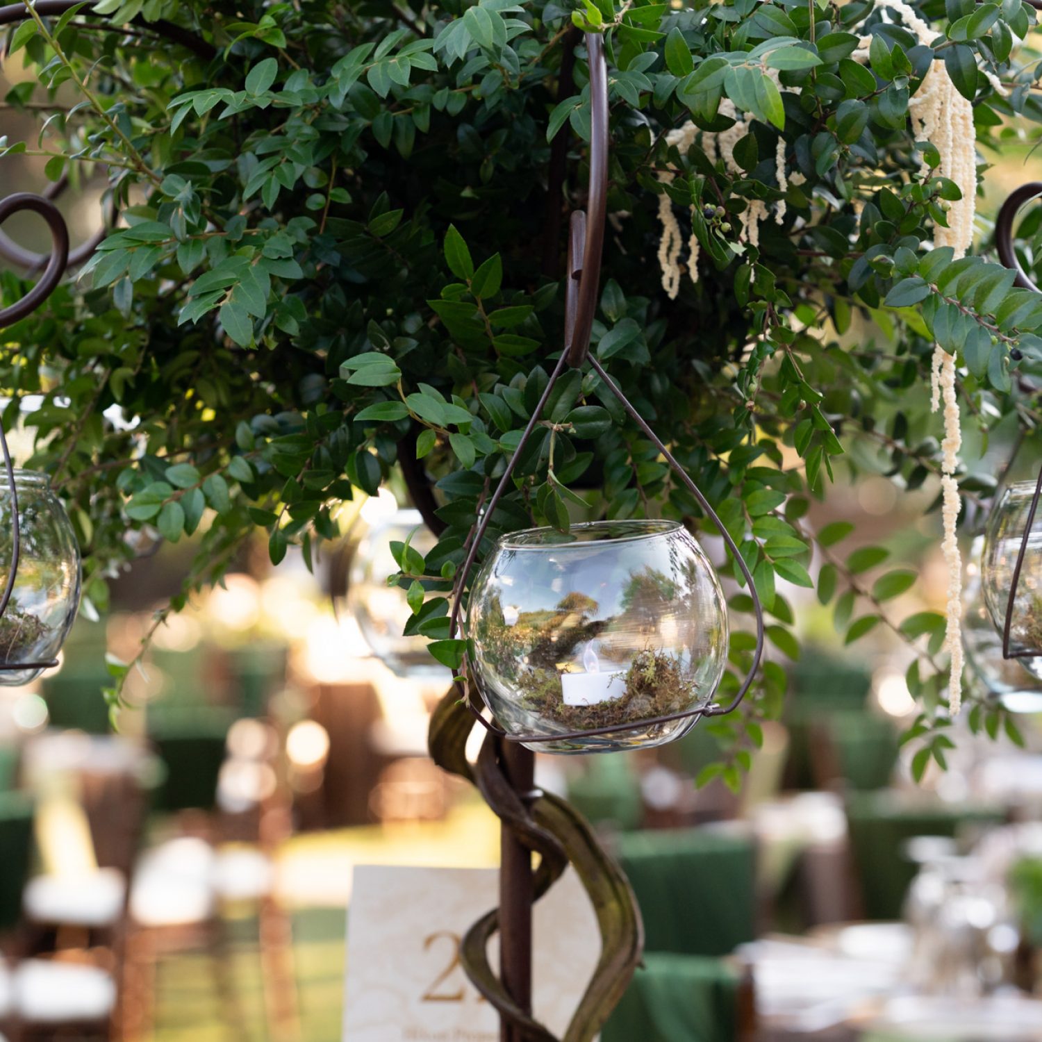 Splendor in the Garden 2025