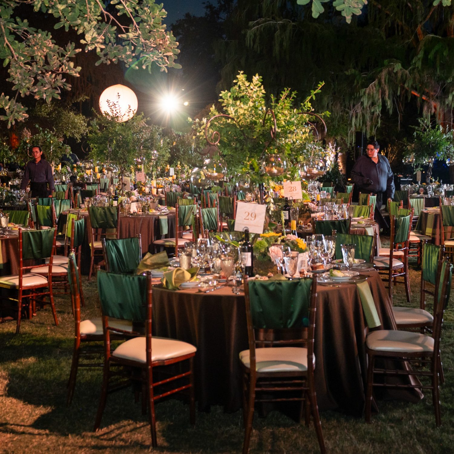 Splendor in the Garden 2025