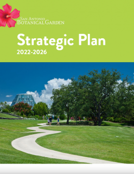 webimage_strategicplancover